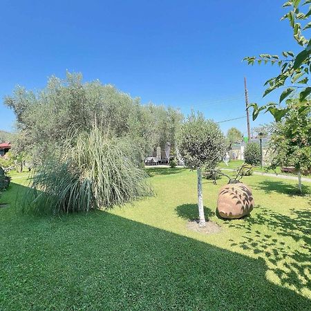 Apartments Alexandros Поліхроно Екстер'єр фото